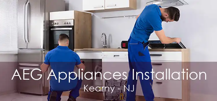 AEG Appliances Installation Kearny - NJ