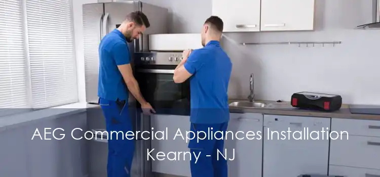 AEG Commercial Appliances Installation Kearny - NJ