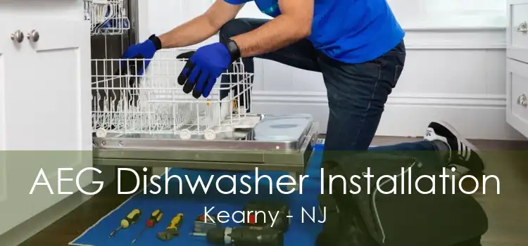 AEG Dishwasher Installation Kearny - NJ