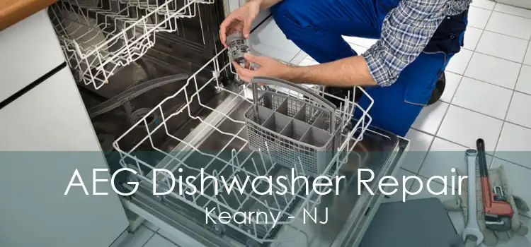 AEG Dishwasher Repair Kearny - NJ