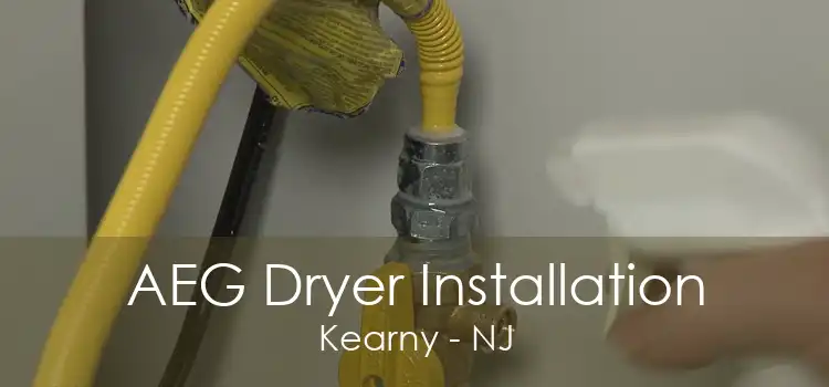 AEG Dryer Installation Kearny - NJ
