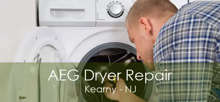 AEG Dryer Repair Kearny - NJ