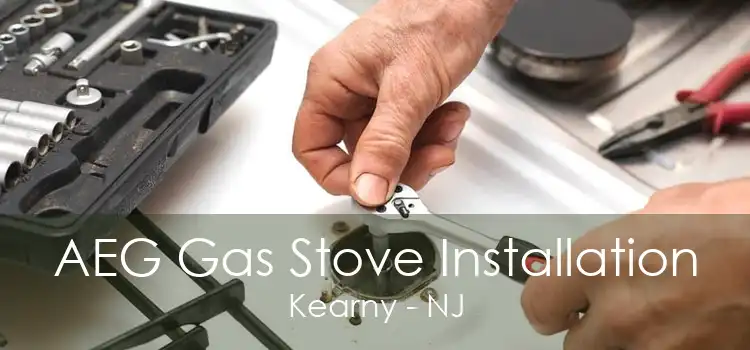 AEG Gas Stove Installation Kearny - NJ