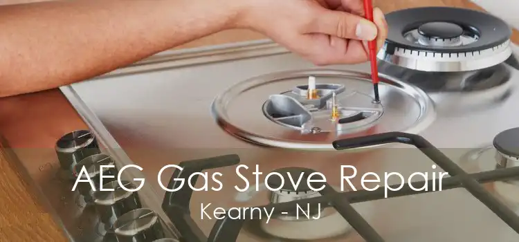 AEG Gas Stove Repair Kearny - NJ