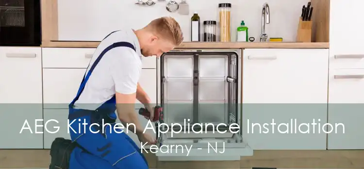 AEG Kitchen Appliance Installation Kearny - NJ