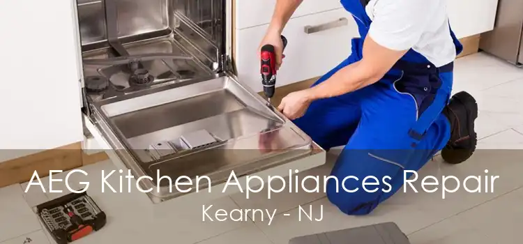 AEG Kitchen Appliances Repair Kearny - NJ