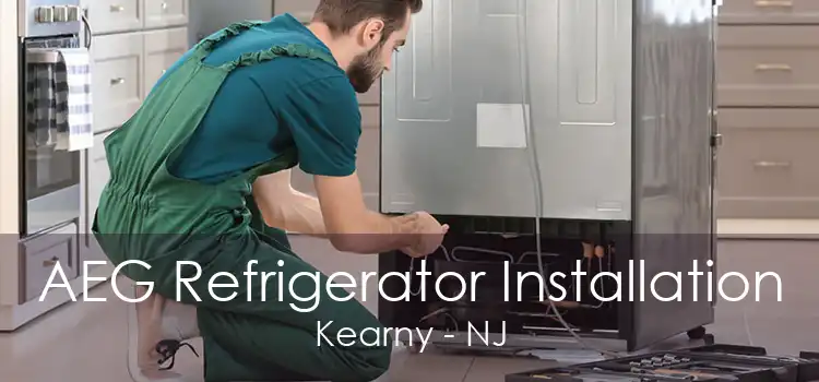 AEG Refrigerator Installation Kearny - NJ