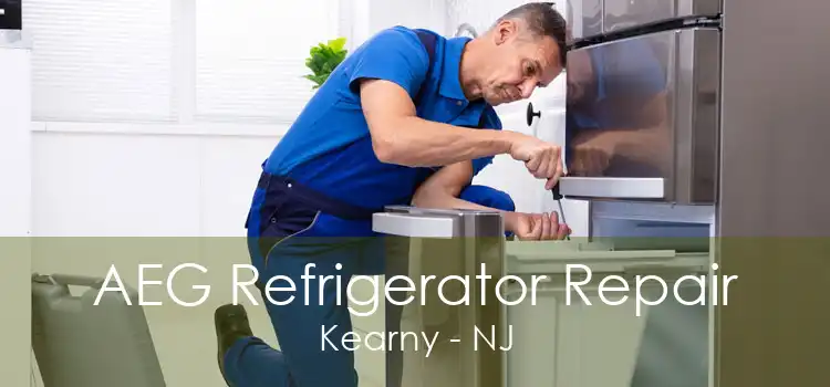 AEG Refrigerator Repair Kearny - NJ