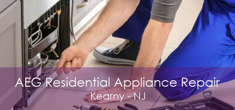AEG Residential Appliance Repair Kearny - NJ