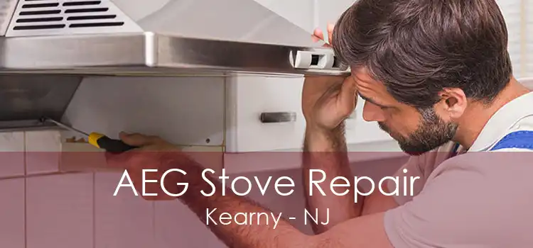 AEG Stove Repair Kearny - NJ