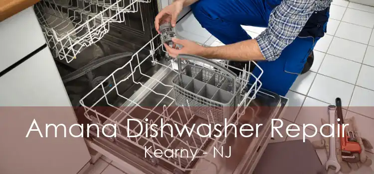 Amana Dishwasher Repair Kearny - NJ