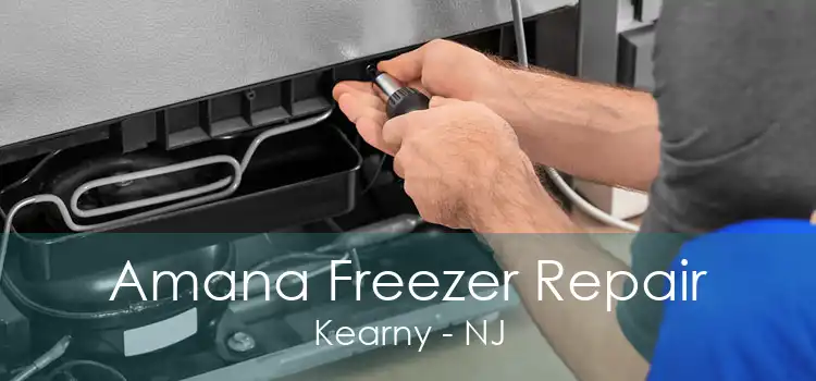 Amana Freezer Repair Kearny - NJ