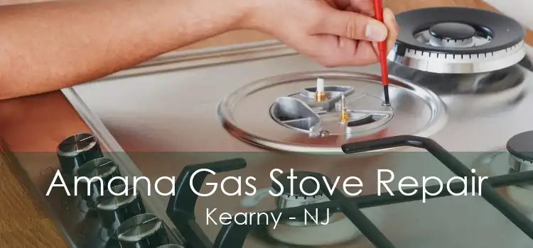 Amana Gas Stove Repair Kearny - NJ