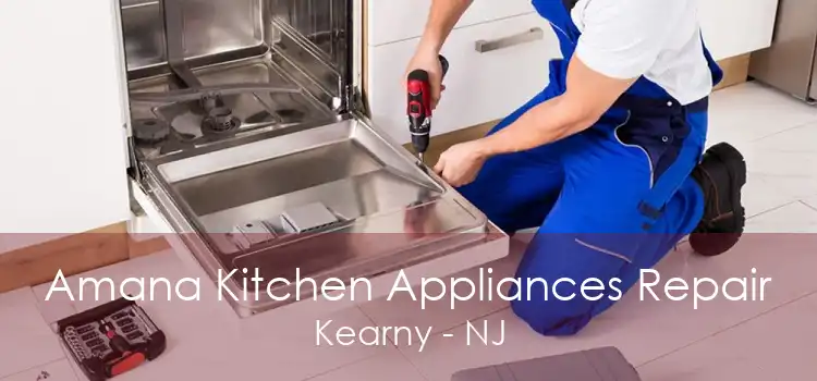Amana Kitchen Appliances Repair Kearny - NJ