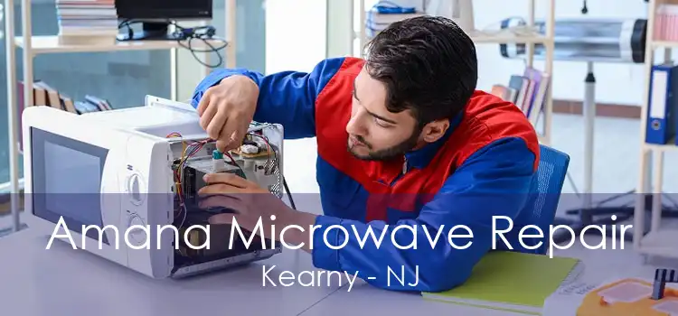 Amana Microwave Repair Kearny - NJ
