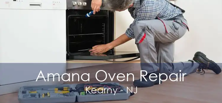 Amana Oven Repair Kearny - NJ