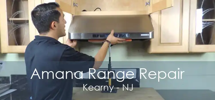 Amana Range Repair Kearny - NJ