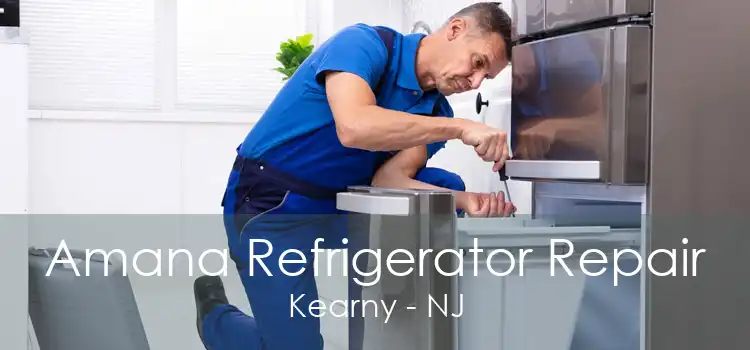 Amana Refrigerator Repair Kearny - NJ