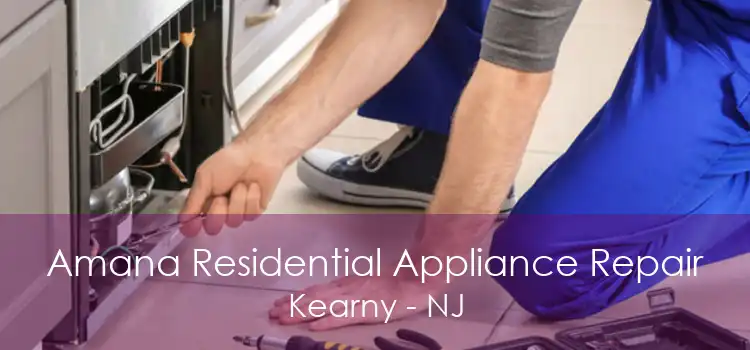 Amana Residential Appliance Repair Kearny - NJ