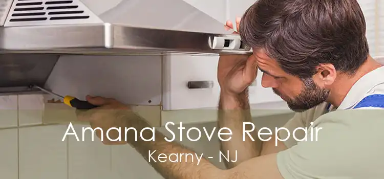 Amana Stove Repair Kearny - NJ