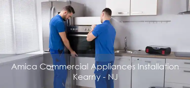 Amica Commercial Appliances Installation Kearny - NJ