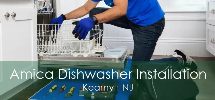 Amica Dishwasher Installation Kearny - NJ