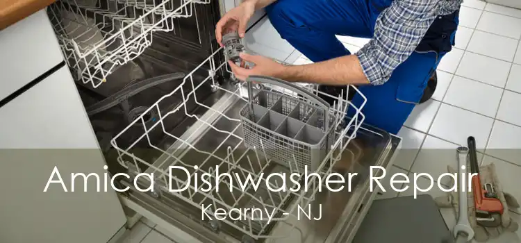 Amica Dishwasher Repair Kearny - NJ