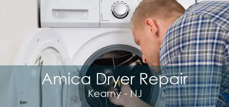 Amica Dryer Repair Kearny - NJ