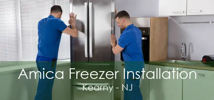 Amica Freezer Installation Kearny - NJ
