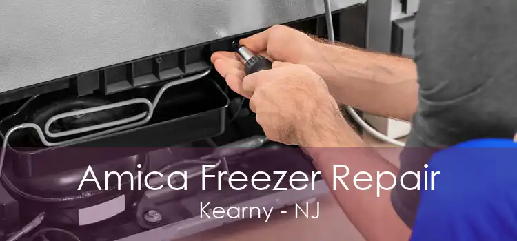 Amica Freezer Repair Kearny - NJ