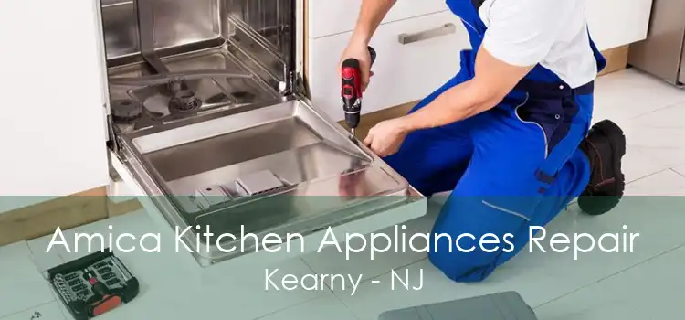 Amica Kitchen Appliances Repair Kearny - NJ