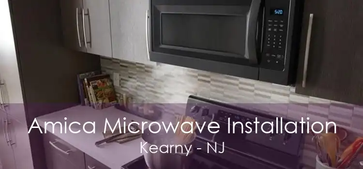 Amica Microwave Installation Kearny - NJ