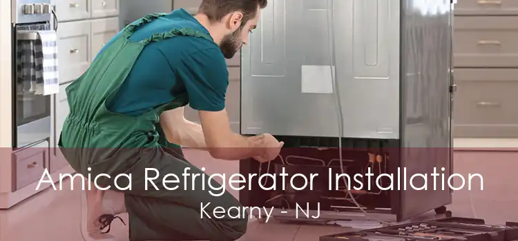 Amica Refrigerator Installation Kearny - NJ