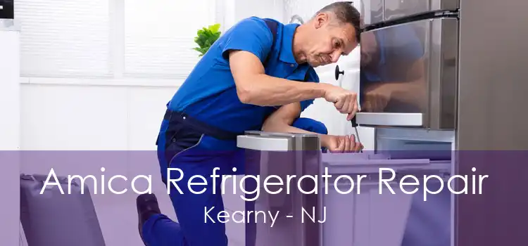 Amica Refrigerator Repair Kearny - NJ