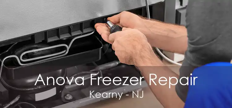 Anova Freezer Repair Kearny - NJ
