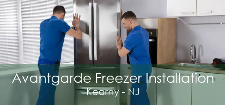 Avantgarde Freezer Installation Kearny - NJ
