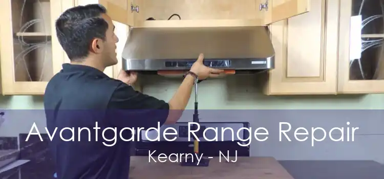Avantgarde Range Repair Kearny - NJ