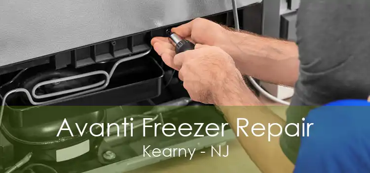 Avanti Freezer Repair Kearny - NJ