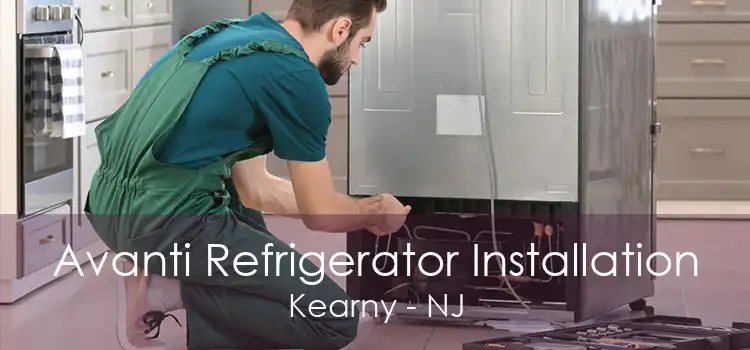Avanti Refrigerator Installation Kearny - NJ