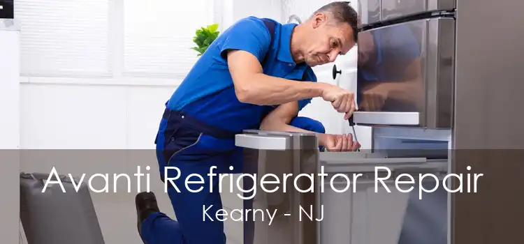 Avanti Refrigerator Repair Kearny - NJ