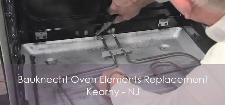 Bauknecht Oven Elements Replacement Kearny - NJ