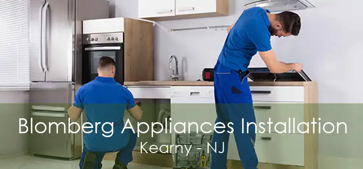 Blomberg Appliances Installation Kearny - NJ