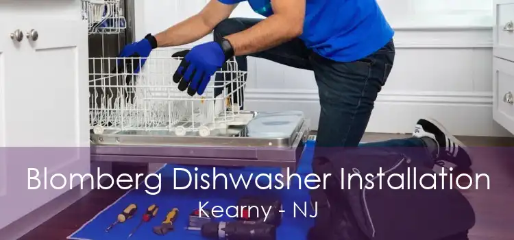 Blomberg Dishwasher Installation Kearny - NJ