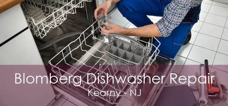 Blomberg Dishwasher Repair Kearny - NJ
