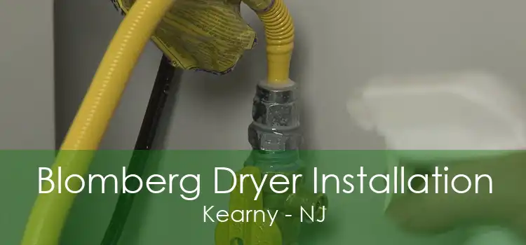 Blomberg Dryer Installation Kearny - NJ