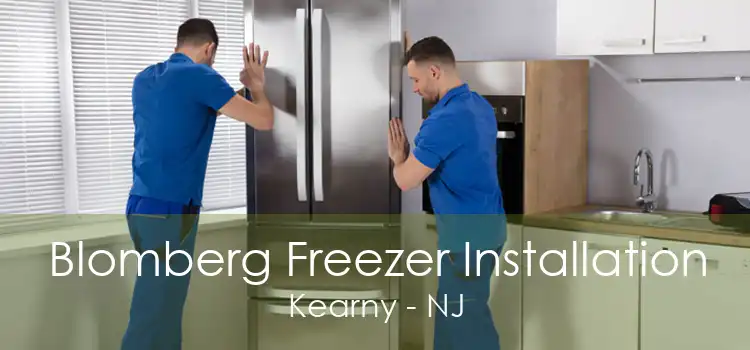 Blomberg Freezer Installation Kearny - NJ