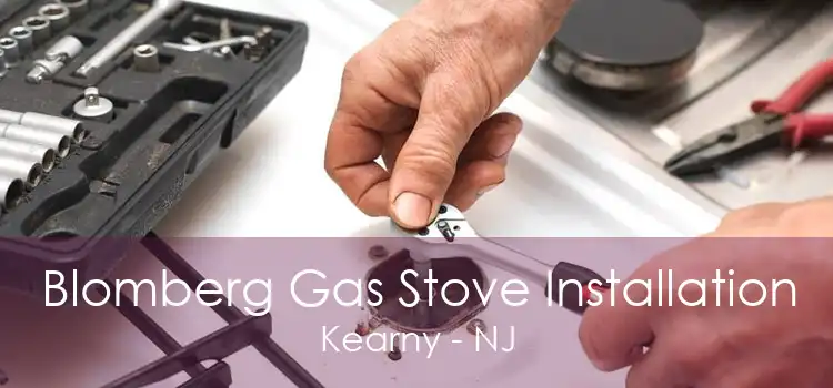 Blomberg Gas Stove Installation Kearny - NJ