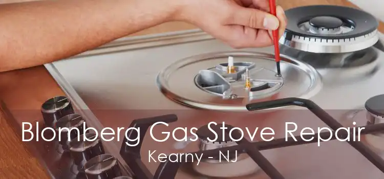 Blomberg Gas Stove Repair Kearny - NJ