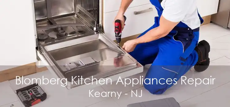Blomberg Kitchen Appliances Repair Kearny - NJ