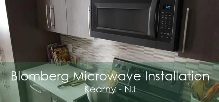Blomberg Microwave Installation Kearny - NJ